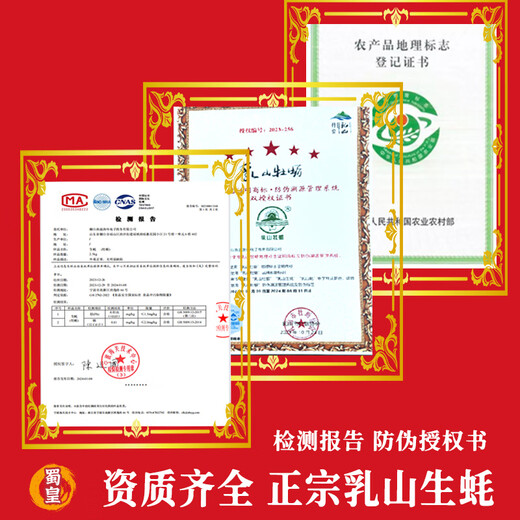 Shuhuang Rushan Oysters Fresh Large Seafood 5Jin Jin is equal to 0.5kg, net weight 4XL (9-13 pieces), only shipped directly from the source, free shipping