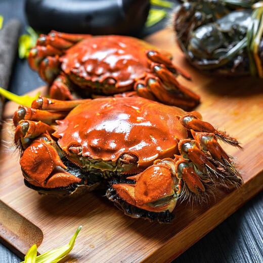 Live crab Yangcheng Xiaoyao hairy crab fresh crab gift box river and lake seafood male 4.7-5.0 female 3.7-4.0 two 4 pairs 8 pieces straight from the source