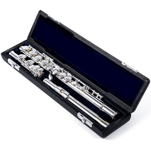 Acacia Bird Flute 16-hole closed-hole dual-purpose adult children beginners playing silver-plated flute instruments for professional performance