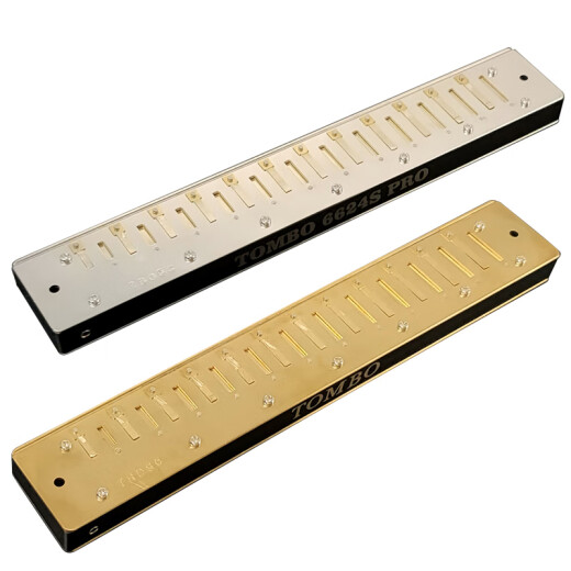 
Tongbao 2024 new 24-hole polyphonic harmonica 6624S PRO adult advanced performance upgraded electroplating seat plate 24-hole BNm natural minor tune
