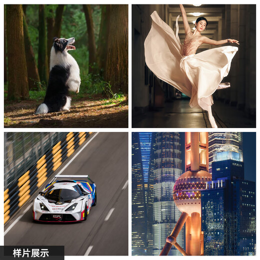 SIGMA 70-200mm F2.8 DG DN OS | Sports full-frame mirrorless constant large aperture zoom lens 70200 (Sony E-mount)