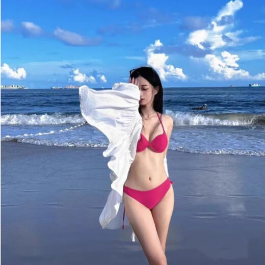Heicang swimsuit for women with small breasts gathered to look slim split bikini swimsuit new two-piece hot spring swimsuit pink 80-120Jin Jin is equal to 0.5 kg