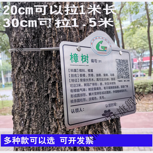 Stainless steel 304 tension spring chain hanging plant Chinese herbal tree brand spring stainless steel spring 20x0.6cm