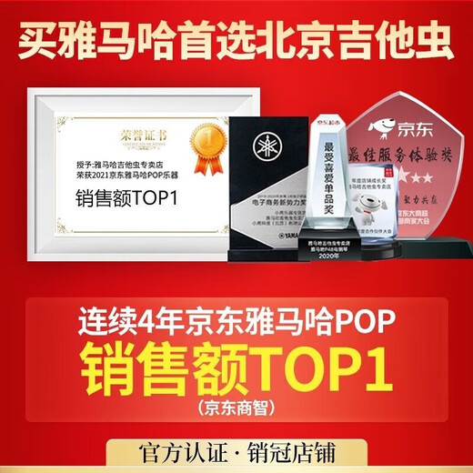 雅马哈P225电钢琴儿童成人初学88键电子钢琴重锤蓝牙智能键盘P125升级款 P225B定制木架三踏板＋官方标配