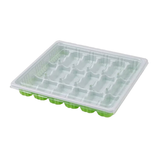 Qincheng disposable dumpling box, take-out special packaging box, commercial compartmented raw and cooked quick-frozen dumpling box, frozen storage box, 15 grids, green and white, thickened, 100 sets, transparent lid