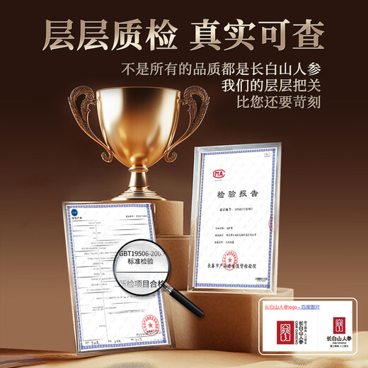 Changbaishan ginseng fresh ginseng rich in ginseng saponin soup soaked wine in ingredients bag wine soaked fresh ginseng elders [try fresh] 2 fresh ginseng