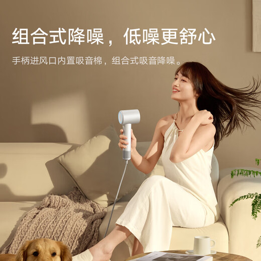 Mijia Xiaomi Hair Dryer H501 SE Home High Wind Negative Ion Hair Care Quick Drying High Power Constant Temperature Control Hair Dryer Chinese Valentine's Day Gifts 38th Festival Recommended Gifts Blue