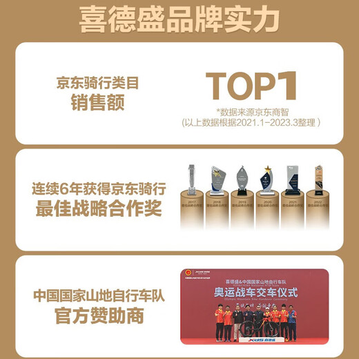 喜德盛（xds）gt350喜德盛gt350砾石公路车喜德盛公路车公路自行车喜德盛瓜车 深灰黑 700Cx460mm|身高165-178cm