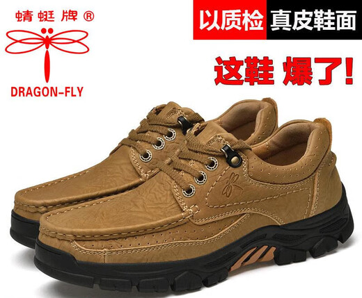 红蜻蜓牌男鞋新款男士真皮户外休闲大头皮鞋软底牛皮工装鞋徒步鞋子 棕色6198 39