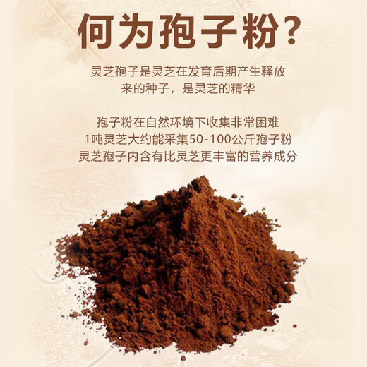北京同仁堂破壁灵芝孢子粉 中老年人增强免疫力 中老年术后免疫力低探病送礼 1盒装