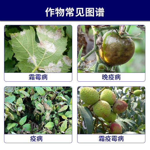 Syngenta Ruifan 23.4% Diacetate Grape Downy Mildew Late Blight Downy Phytophthora Fungicide 10ml*1 bag