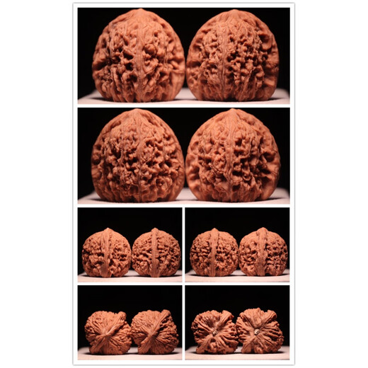 GUIG [Boutique] Southern Xinjiang Stone Wenwan Walnut Lion Head Old Style Zhuolu Basin Bottom Cannonball Pile Generation South General [41 Southern Xinjiang] 12807t