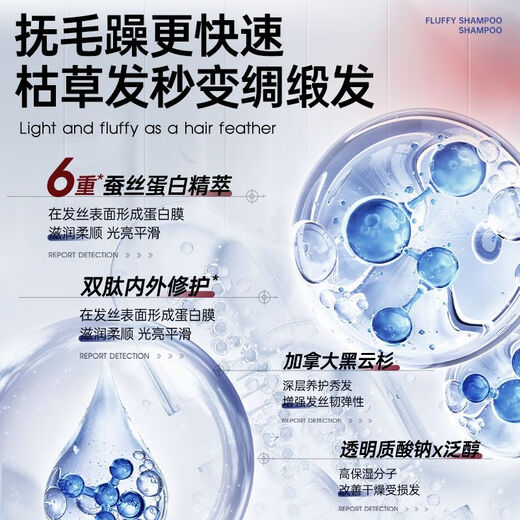 Contrôle de l'huile de grain coréen shampooing pelucy silicone sans huile anti-phase Anti-icminy acide aminé acide n ° 1 dans la liste d'or des hommes et des femmes