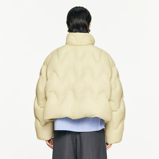 江南布衣（JNBY）【波朗尼】秋冬新品羽绒服女立领波浪设计短款休闲宽松5O0C12350 748/浅豆黄 S