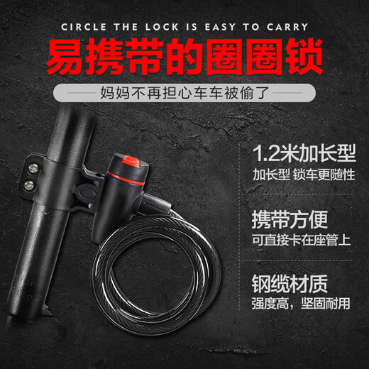 飞鸽 自行车骑行装备配件山地车防盗锁便携式密码钢缆丝链子密码锁 圈圈钥匙锁【0.4米】