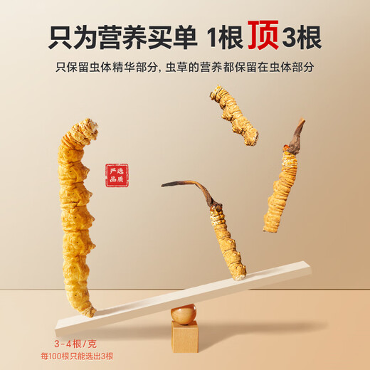 秦仁堂冬虫夏草10克断草全虫肉节冬虫夏草正品实惠自用冬虫夏草断虫草
