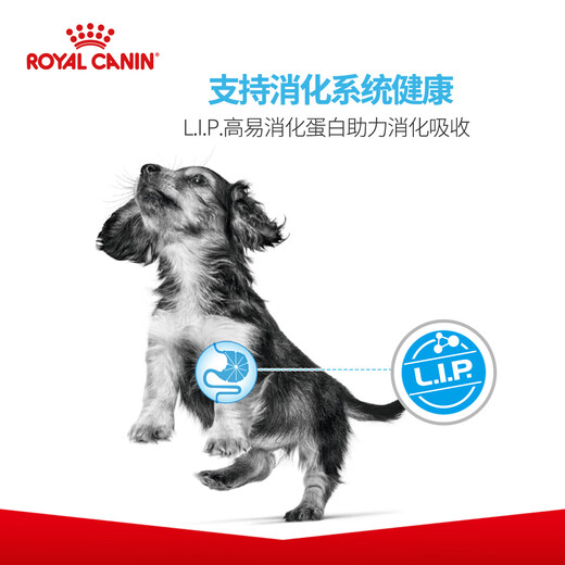 Comida real comida para perros pequeños cachorro de leche a precio completo pastel de leche pomerania vip teddy Yorkshire teacup dog type universal mis30 pastel de leche de perro pequeño 3 kg de raza completa
