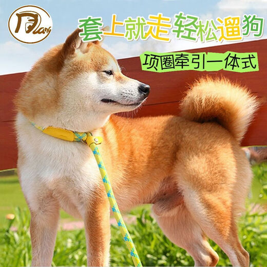 Pet traction rope, special dog leash for outdoor explosion-proof training for dogs, small, medium and large dog p chain, dog walking rope, 1 piece, 1.5 meters/0.6cm, green blue dots, no Specifications