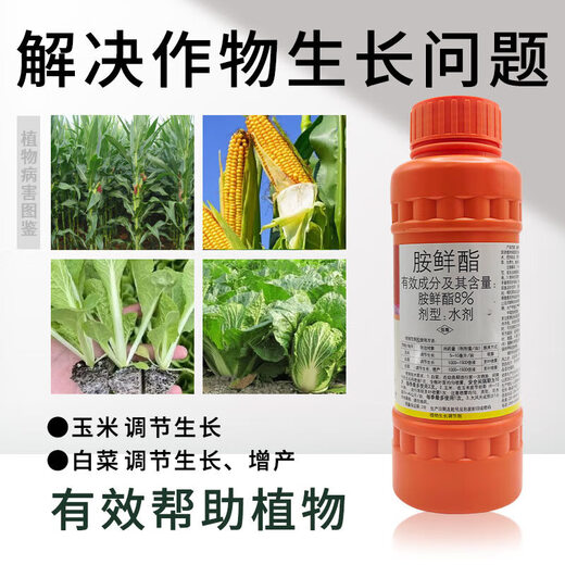 Guoguang Youlehong 8% amine fresh ester coloring increases root production, promotes cell division, preserves flowers and fruits, growth regulator 1000ml *12 bottles per box