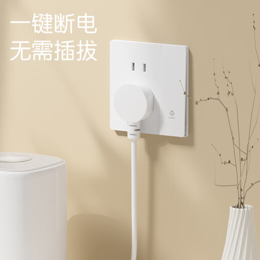FDD国际电工86型超薄哑光白色开关插座面板家用16A暗装一开单控5五孔奶油风 五孔插座