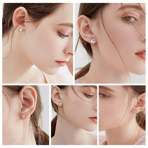 Chinese Gold One Week Silver Earrings Women's Earrings Set Silver Earrings Light Luxury Wedding Anniversary Gift for Wife and Girlfriend Birthday Star and Moon One Week Earrings-Valentine's Day Flower Box-Jingsuda