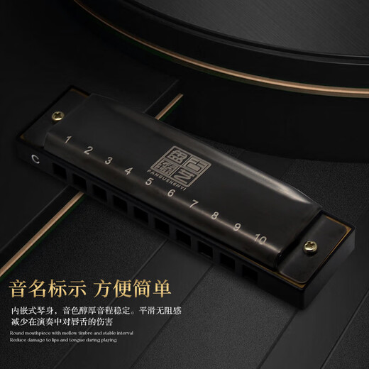 敦煌 盘古臻艺 10孔布鲁斯口琴 DN10 黑色 C调 初学推荐	