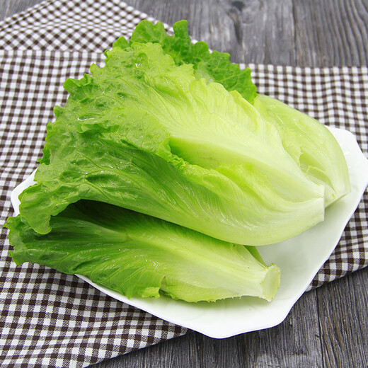 
[Plateau Summer Vegetable] Zhonglingshan Roman Lettuce 400g