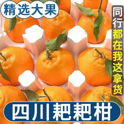 Authentic Meishan Chunjian Sichuan Rake Mandarin Special Grade Baba Mandarin Ugly Orange Fresh Fruit Seasonal Full Box 1g Authentic Chunjian Chunjian Papa Mandarin - Get ten for a fake one Rare quality With box 9-10 Jin Jin is equal to 0.5 kg The King of Fruits