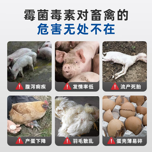 Xiongmu water-soluble mold removal agent for veterinary pregnant animals, corn, cattle, sheep, sows, poultry, chicken and duck feed additives, 2 bags of biological mold removal