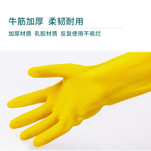 Bangshoushi thickened beef tendon latex gloves 10 pairs, rubber leather waterproof and wear-resistant, washing dishes, clothes, cleaning, kitchen hygiene, labor protection, medium size