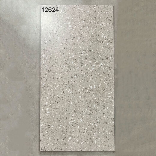 维诺亚600x1200仿古地砖防滑客厅水泥灰仿古砖工业复古风极简风哑光地面 12625