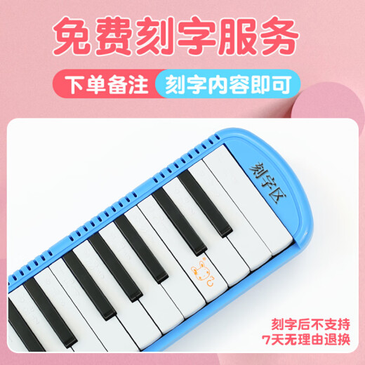 乐普森（YUEPUSEN）口风琴37键32键小学生专用初学儿童专业演奏级吹管琴初中生口吹琴 【37键蓝色】教材+两套吹管+贴纸