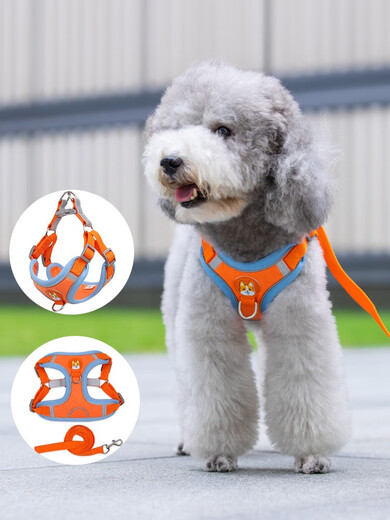 Hui Chong Er Teddy Dog Leash Vest Type Small Dog Chain Bichon Pomeranian Harness Pet Outdoor Dog Leash Orange + 1.5 Meter Flat Rope M Code (Recommended 7-13 Jin Jin equals 0.5 kg)
