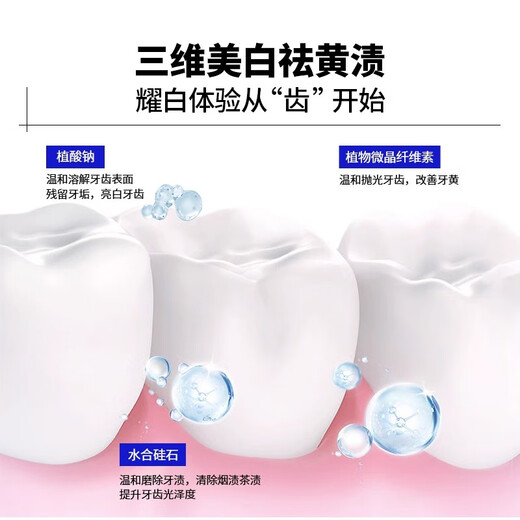 EHD Whitening Teeth Cleaning Powder Fresh Breath Toothbrushing Powder Gum Care Whitening Mint Fragrance Toothpaste Powder