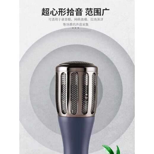 韩湘子(防伪可查询)专业高保真大振膜48V电容麦克风录音棚设备直播电台电脑手机声卡有线话筒 韩湘子 5010