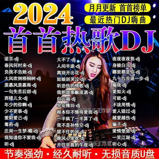 LZJV2024车载音乐U盘DJ重低音环绕劲爆舞曲网红酒吧完整版串烧嗨曲MP3 赠Type-c转换头-黑胶音质-即插 完整版1381首歌曲 38部视频