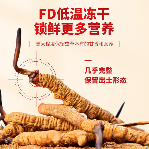 
Tongfu Cordyceps sinensis 3 roots/g 100g About 300 roots gift boxes, nourishing nutritional supplements, gifts for elders