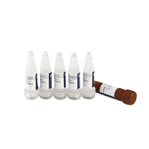 Biosharp BL698A Fluorescent Quantitative PCR Kit BL698A (5X1mL/box)