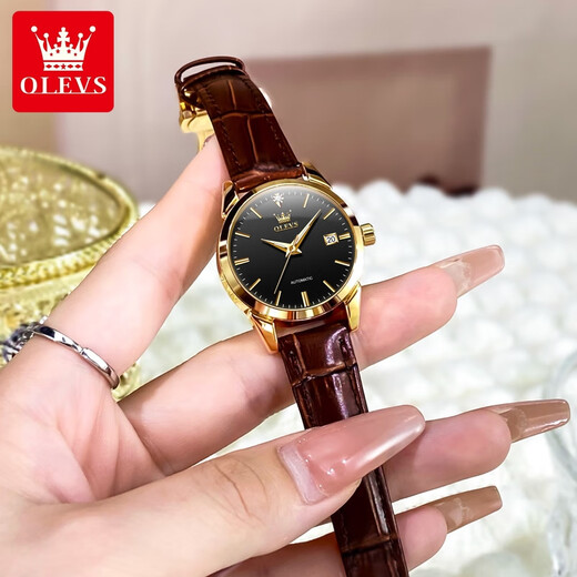 Swisss Swisss Swiss Swiss Watches для женщин Механические часы Полностью автоматические простые темпераментные женские часы Light Luxury Belt Women's Watch Olevs-6629 Женские кожаные черные лица с кожаным лицом