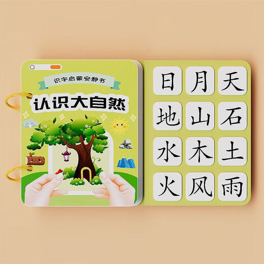 幼儿识字早教安静书宝宝粘贴书儿童魔术贴卡片玩具认字卡 【识字安静书】认识身体 无规格