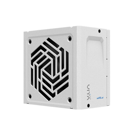 FSP VITA GM 750W Snow Edition Gold Medal Full Modular Power Supply (ATX3.1/PCle 5.1 12V-2x6 Interface/105 Japanese Capacitor/Full Embossed Cable)