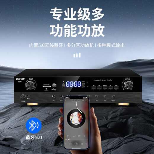 先科会议室音响设备全套装组合家庭影院KTV音乐学校培训专用系统蓝牙功放麦克风一体机壁挂音箱音柱 【两120W音柱】两话筒（推荐100-160平）