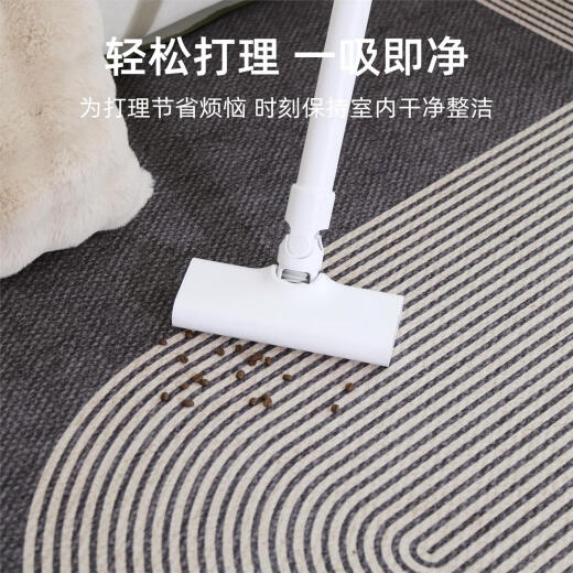 地毯客厅2024免洗可擦卧室床边毯轻奢感加厚防水沙发地垫 星涧15657 140cm*200cm升级三防款易打理