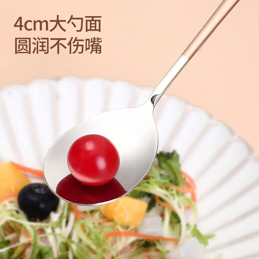 Maxcook 316L stainless steel soup spoon, round bottom table spoon, rice spoon, soup spoon, color 3-piece set MCGC3424