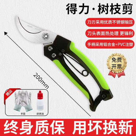 Deli fruit tree pruning scissors, garden flower pruners, branch scissors, thick flower scissors, gardening scissors tools, 8-inch stainless steel, curved mouth flower and tree shears DL2770