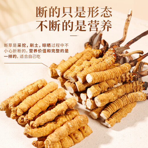 源江草冬虫夏草大号断草35克断虫草 滋补品送长辈家庭装【好滋补认证】
