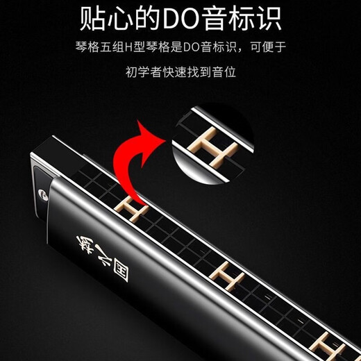 国光德国进口音簧国光口琴复音专业演奏级重音C调初学者入门乐器送礼 28孔C调重音【专业演奏级】