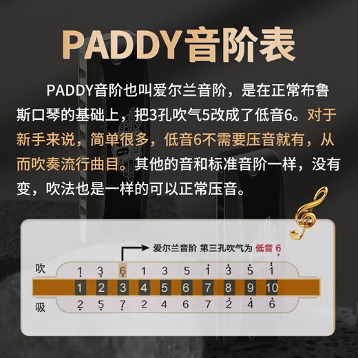 BoogieMAN [Same Model in Yuanyuan] Dolphin PADDY harmonica ten holes blues adult professional beginner blues 10 holes