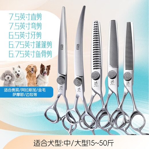 Blackbird pet scissors professional set straight cut curved scissors fish bone scissors fluffy scissors pink diamond beautician pet shop use 7.5 straight 7.5 curved 6.5 teeth 6.75 fluffy 6.75 fish bone