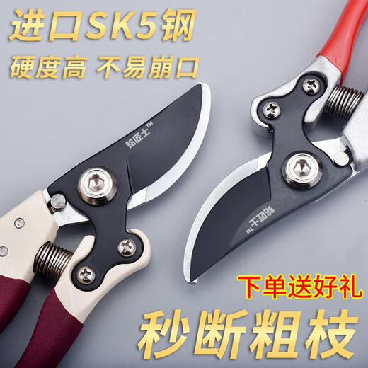 JCZS German quality precision fruit tree pruning scissors, tree thick branch flower pruning shears, special labor-saving for home gardening, purple, purple frosted black blade